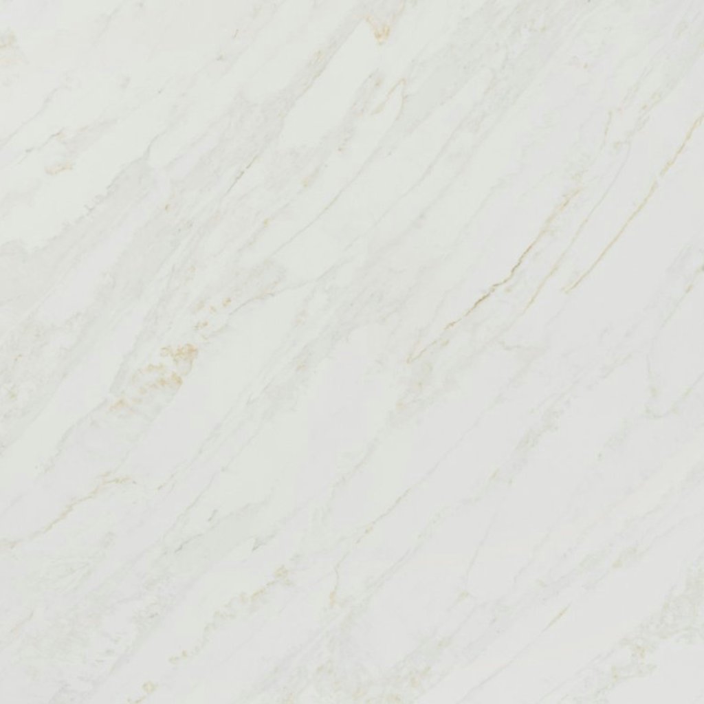 MSI Calacatta Premata - Slab