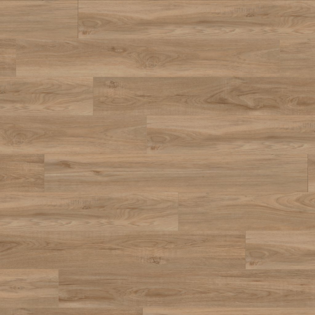 Canopy Desoto Hickory