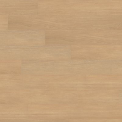Canopy Ivory Oak - 7" x 5ft