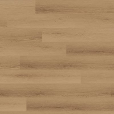 Canopy Laurel Oak - 7" x 5ft