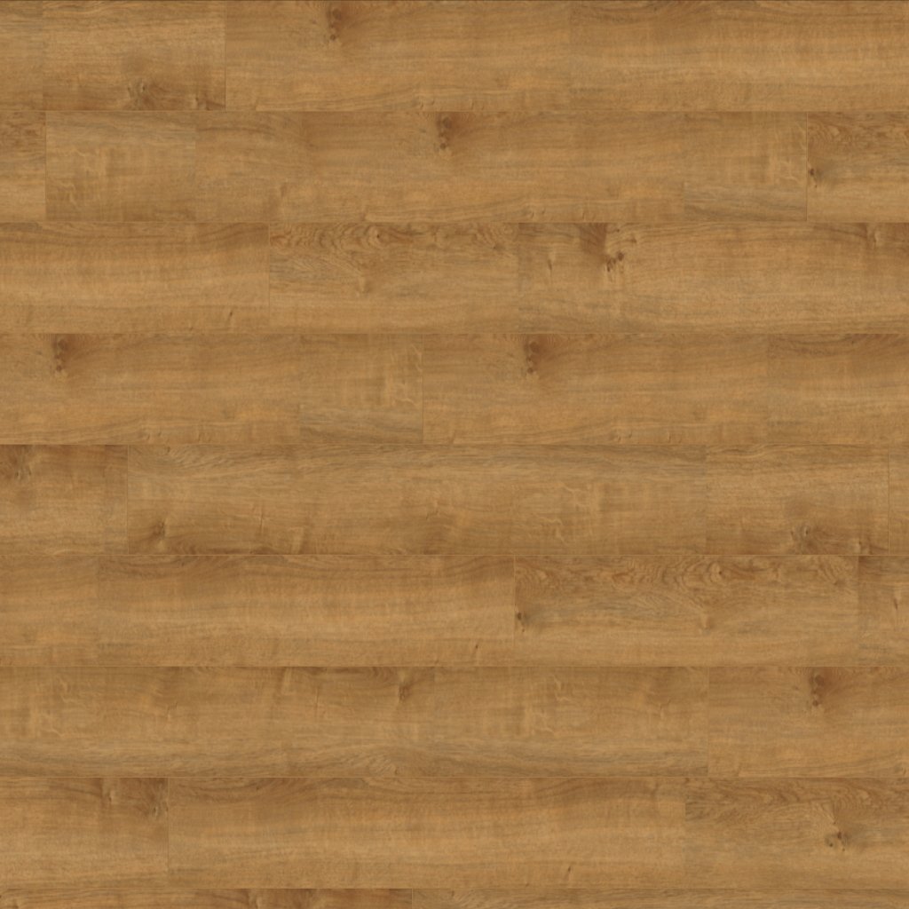 Canopy Studio Oak