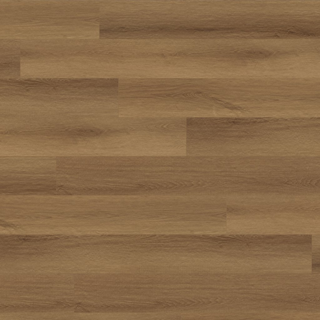 Canopy Truffle Oak