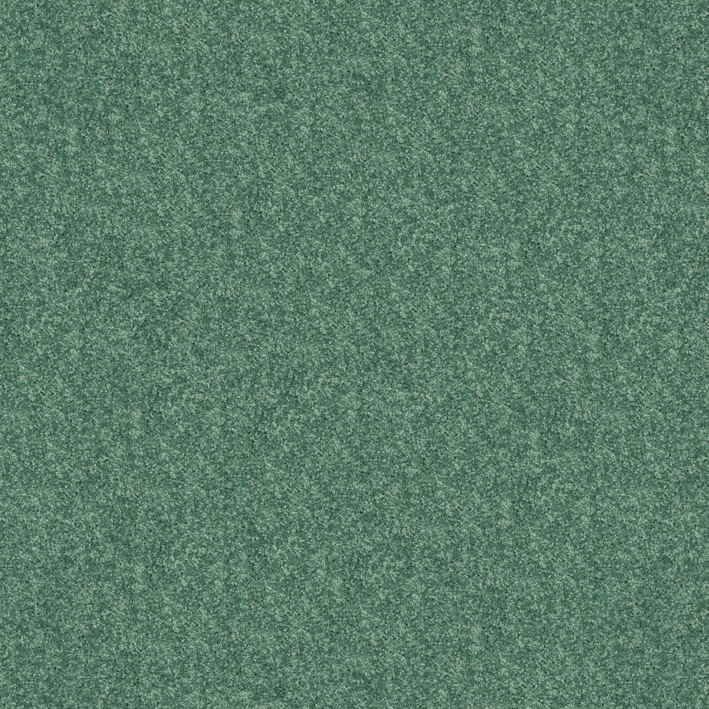 Shaw Floors Kid's Club - Leap Frog