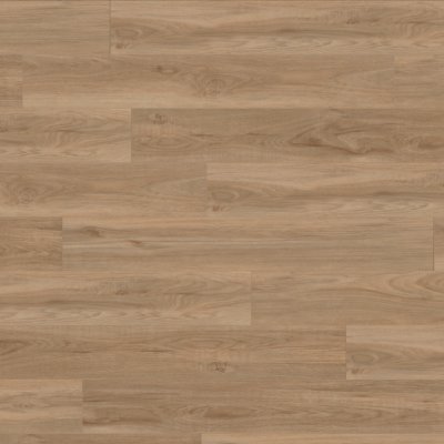 Canopy Desoto Hickory - 7" x 4ft