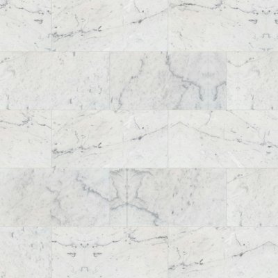 MSI Carrara White - Slab - Polished