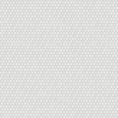 Marble Systems Aspen White Honed Hexagon 2 Marble Mosaic 10 3/8x12 - Aspen White - 10 3/8" x 12" x 3/8"