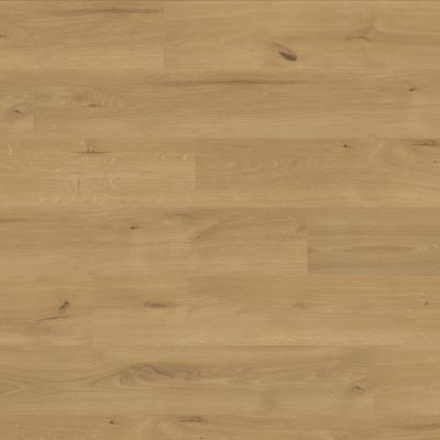 Canopy Arrington Oak - 9" x 6ft