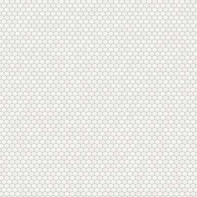 Marble Systems Bianco Dolomiti Classic Honed Hexagon Marble Mosaic 10 3/8x12 - Bianco Dolomiti Classic - 10 3/8" x 12" x 3/8"