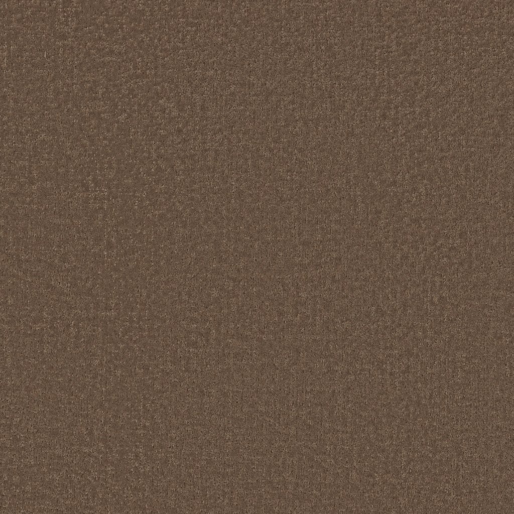 Shaw Floors Refined Canvas - Cliff Hiking