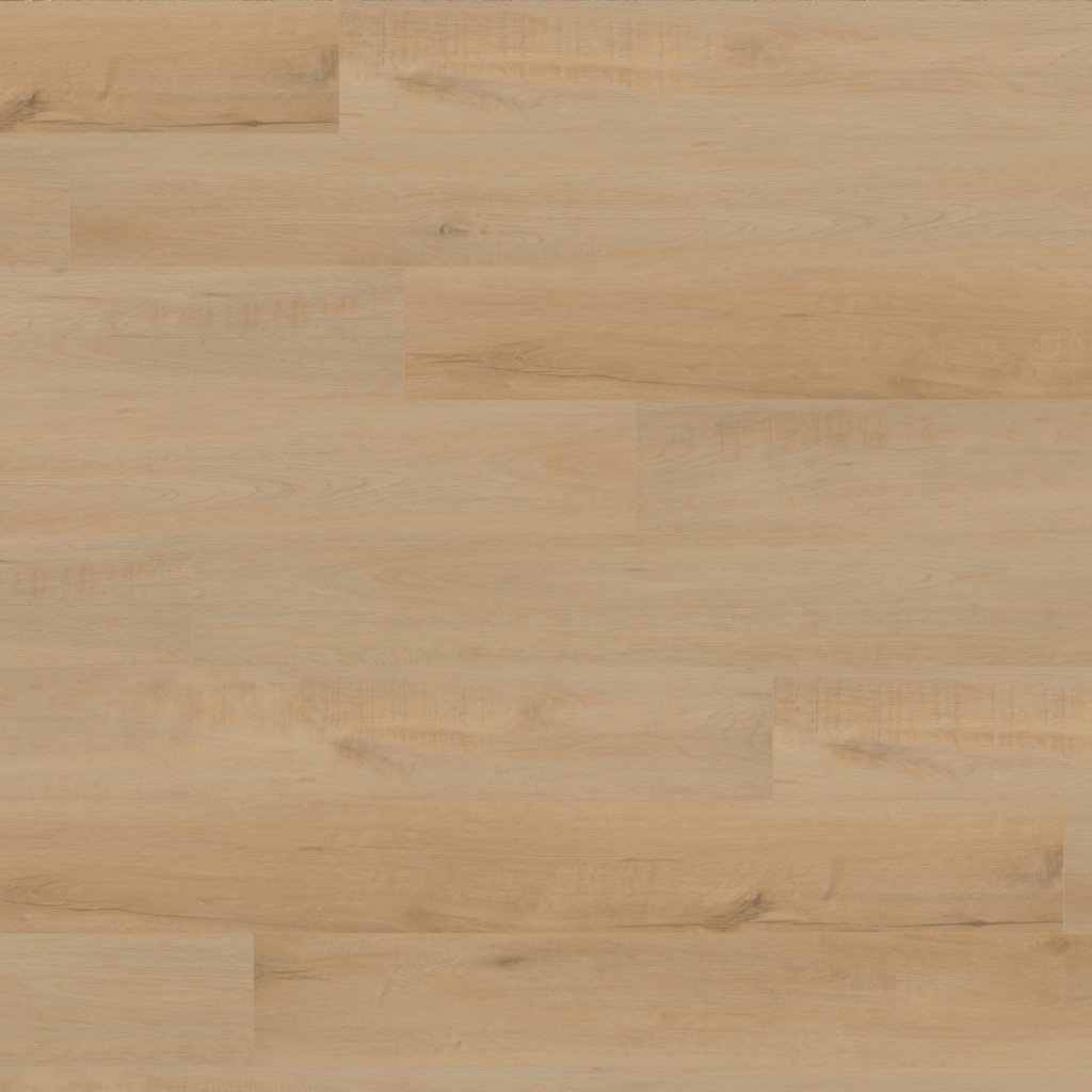 Canopy Frontier Oak