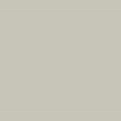 Qualis Ceramica Monoforma 48x110 Storm Polished - Grid