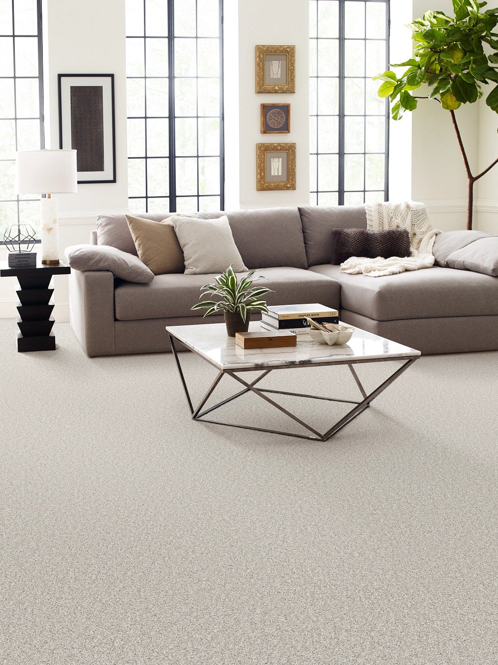 Shaw Floors Pure Comfort I - Whitewashed Frame