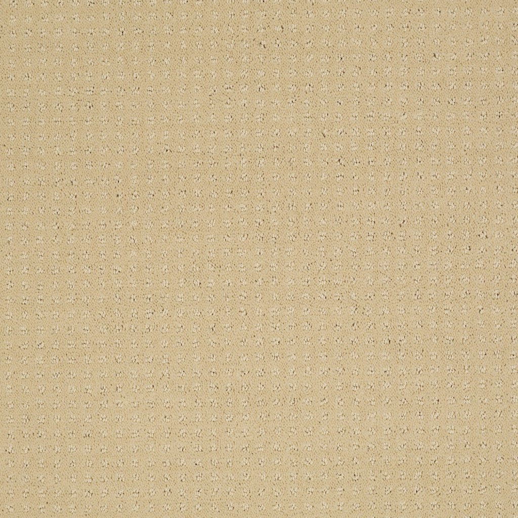 Shaw Floors Enduring Comfort Pattern - Chamois