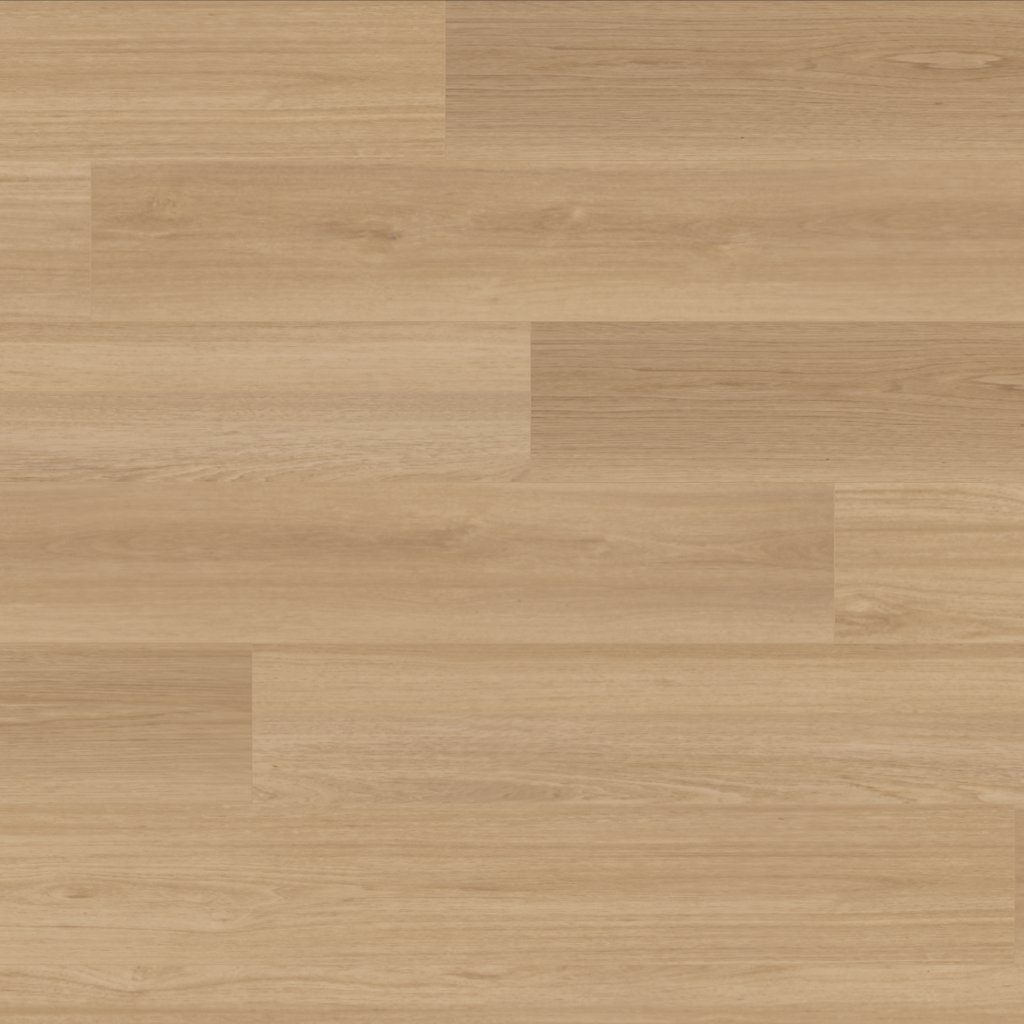 Canopy Heirloom Oak