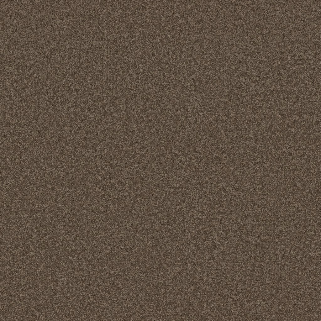 Shaw Floors Laguna Beach - Maple