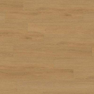 Canopy Franklin Oak - 7" x 4ft