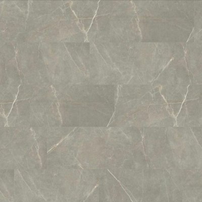 Canopy Marquina Grigio - 12" x 24in