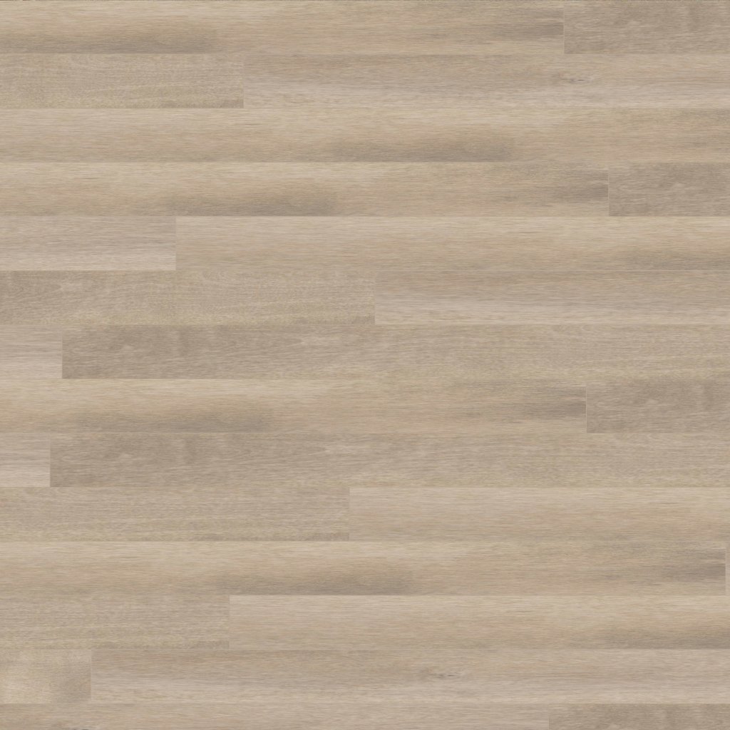 Wickham Hardwood Birch, Cream - Solid 3/4 in. (19mm)