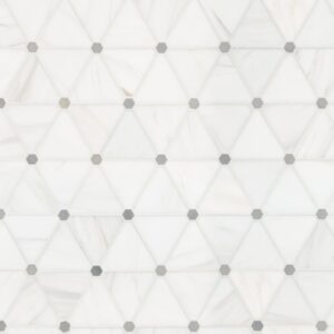 Bianco Dolomite Pinwheel Polished