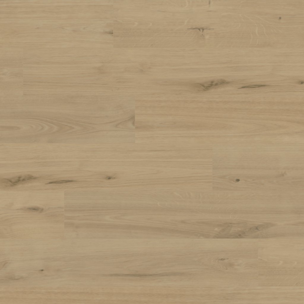 Canopy Richland Oak