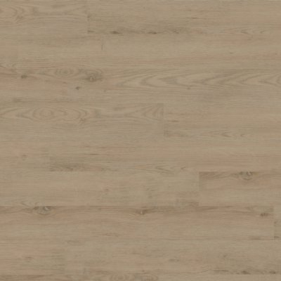 Canopy Sterling Oak - 7" x 5ft