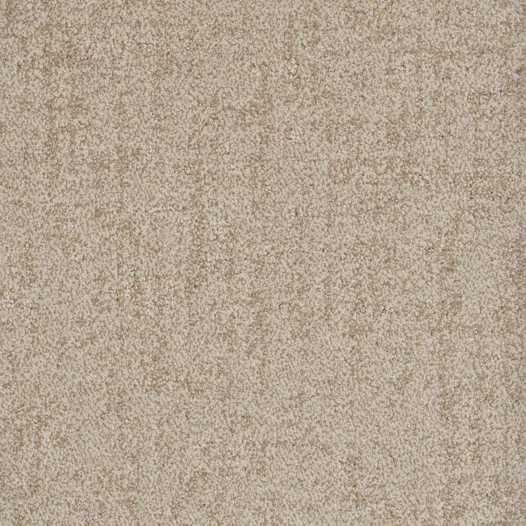 Dixie Home Authentic - Probable
