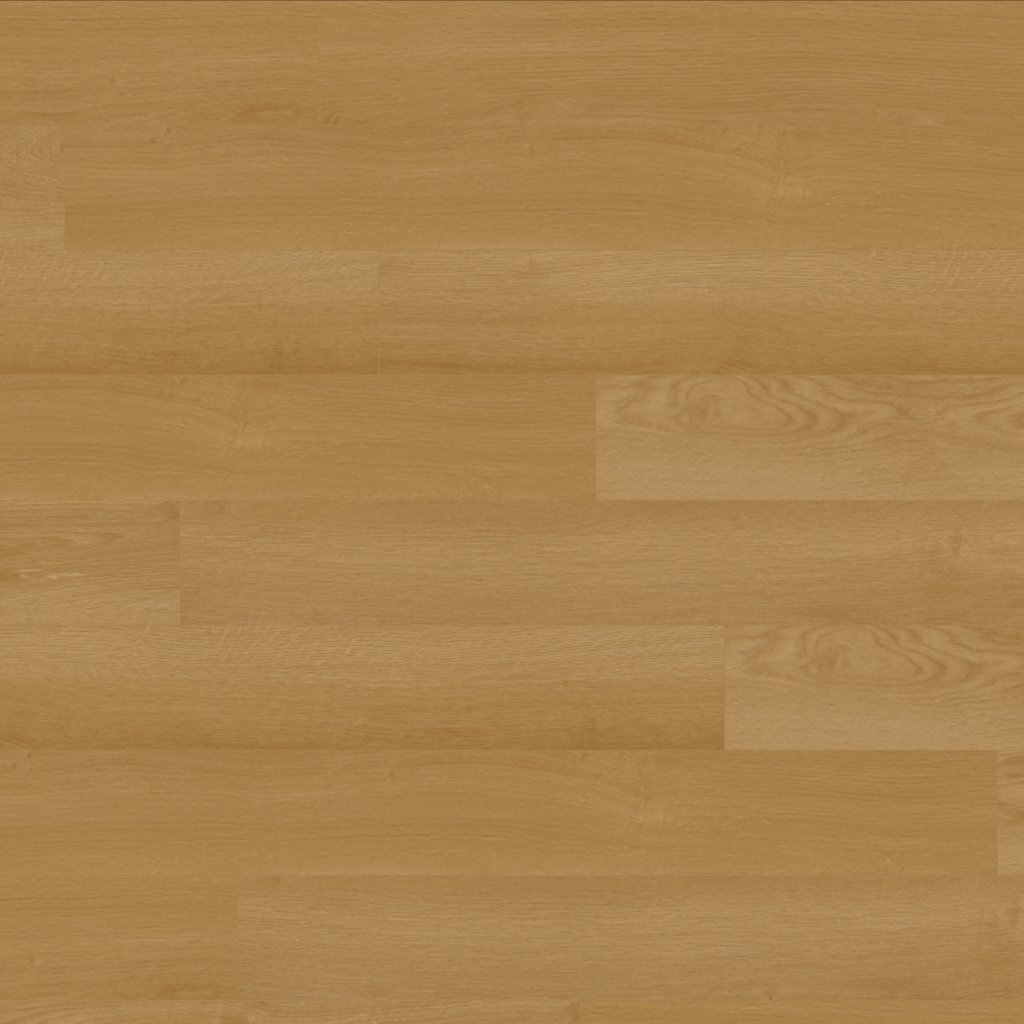 Canopy Dawn Oak
