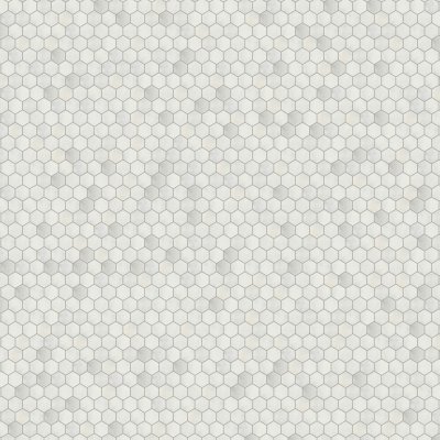 Marble Systems Glacier Honed Hexagon 2 Marble Mosaic 10 3/8x12 - Glacier - 10 3/8" x 12" x 3/8"