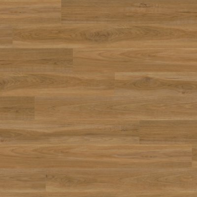 Canopy Outpost Hickory - 7" x 5ft