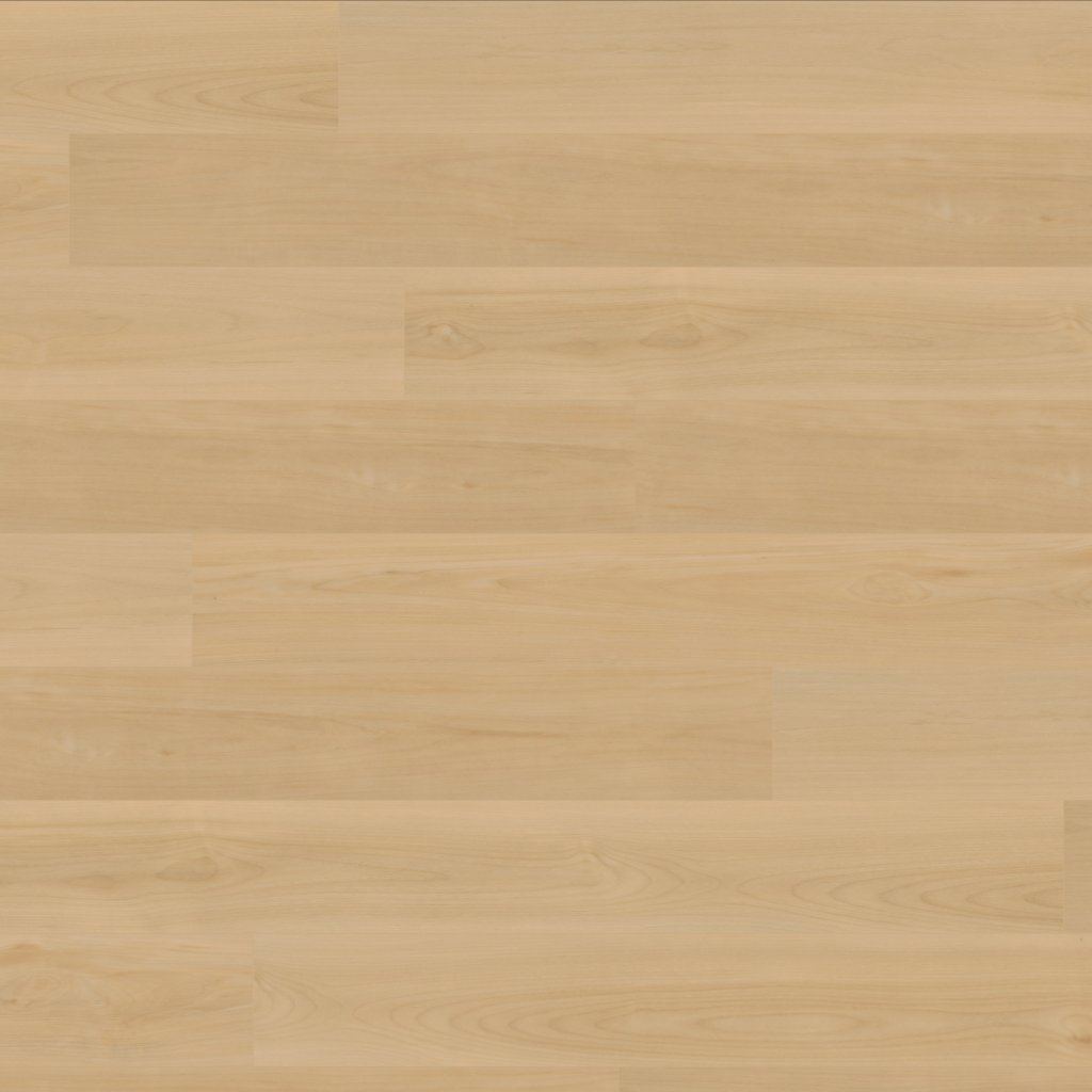 Canopy Geneva Maple