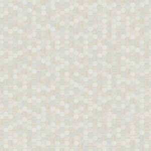 Arabescato Venato 2" Hexagon Honed