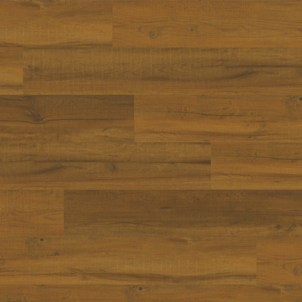Canopy Steamboat Oak