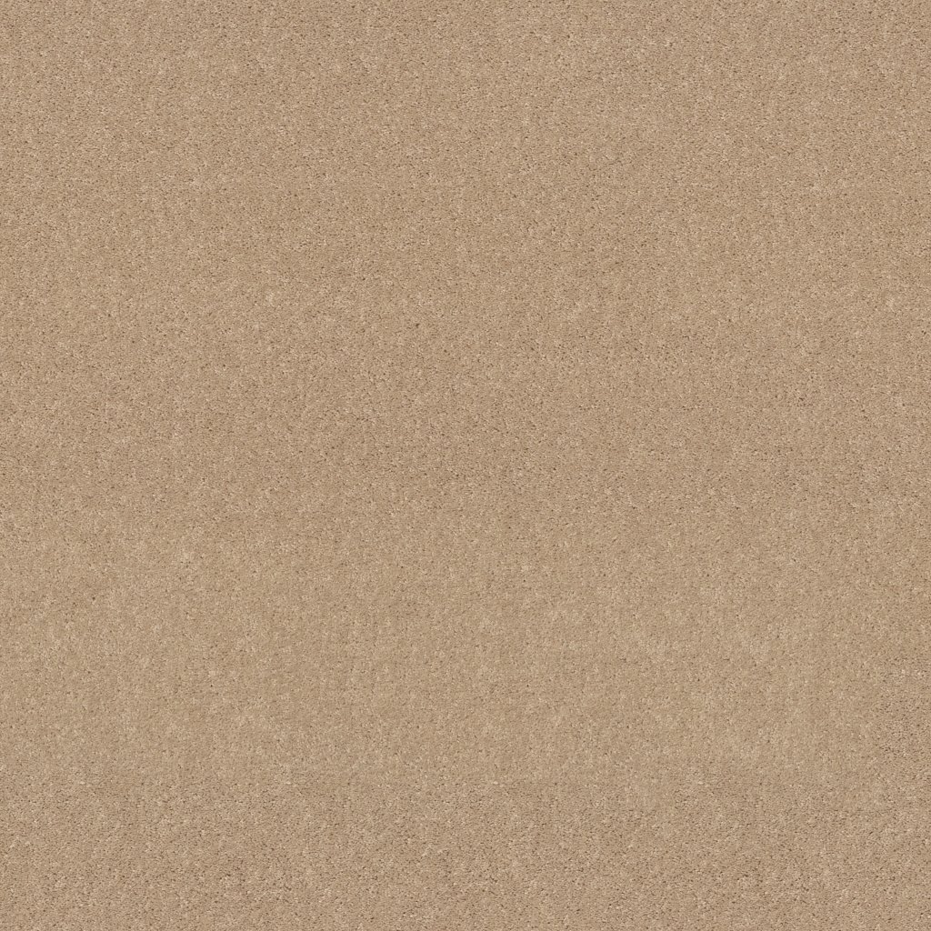 Shaw Floors Dyersburg Classic 12' - Casual Cream