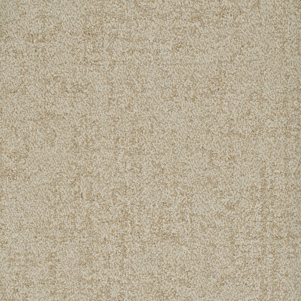 Dixie Home Authentic - Worthy