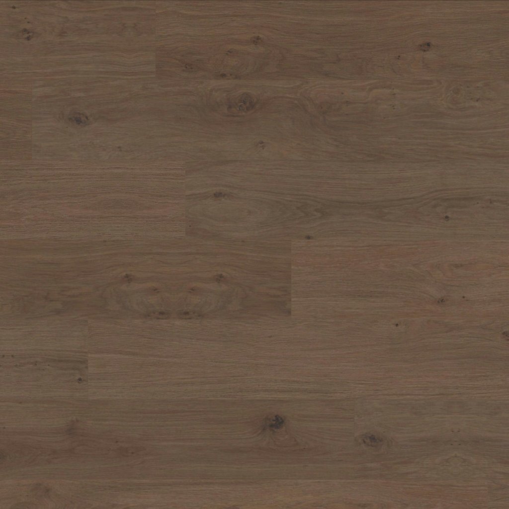 Shaw Floors Riviera - Tuxedo Bronze