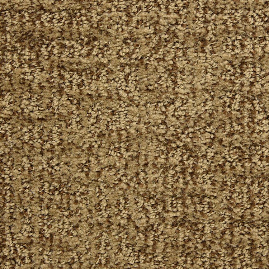 Dixie Home Aspects - Tango