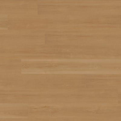 Canopy Madison Maple - 7" x 5ft
