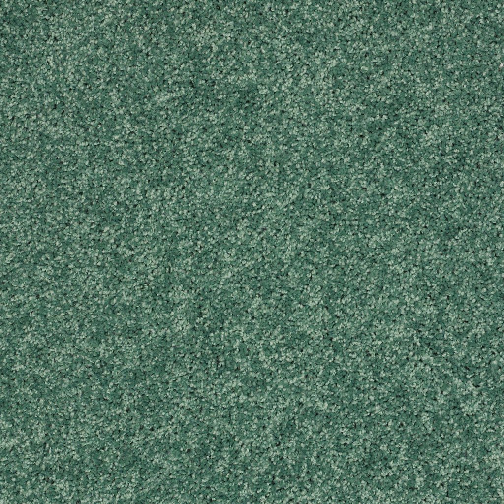 Shaw Floors Kid's Club - Leap Frog