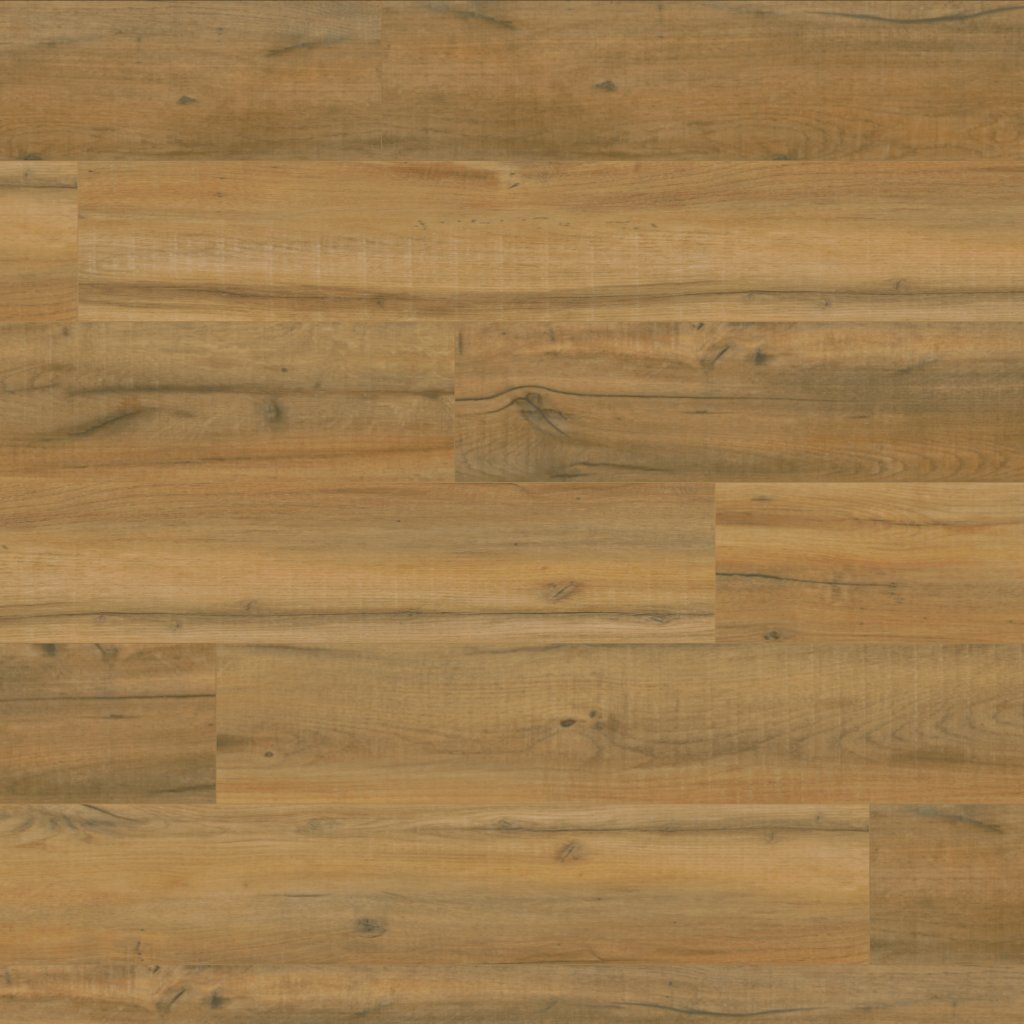 Canopy Tahoe Oak
