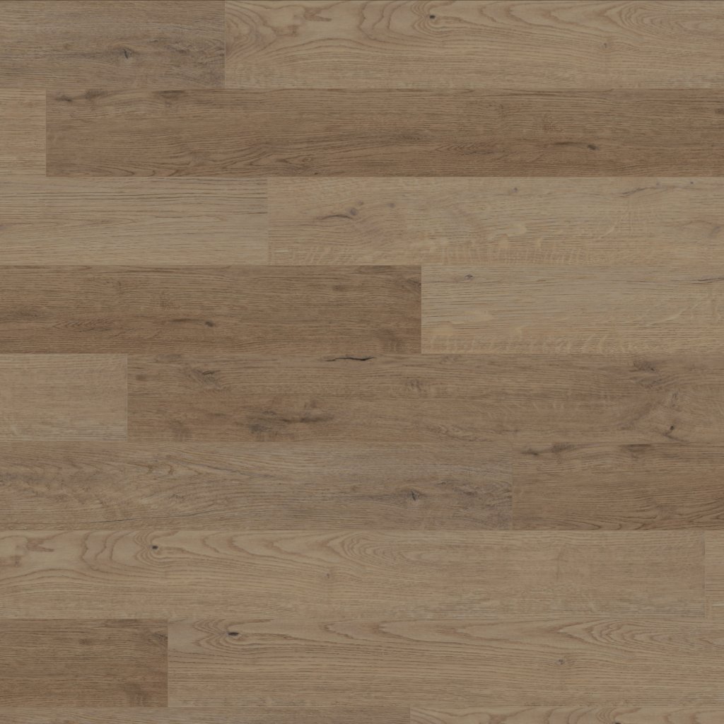 Canopy Reverie Oak