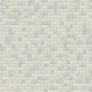 Arabescato Subway Tile 2X4