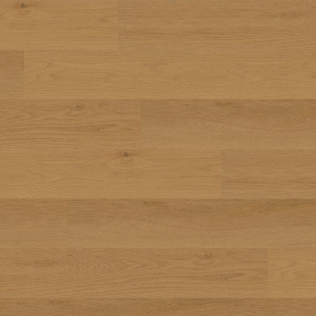 Canopy Daybreak Oak