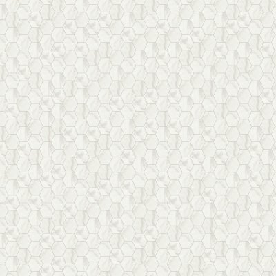Qualis Ceramica Royal Stoneworks 2" Cloudstone White Hex - 12" x 12"