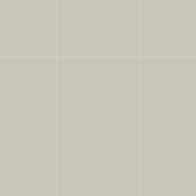 Qualis Ceramica Monoforma 24x24 Storm Silk - Grid