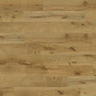Robbins Autumn Tone 6 1/2 in - 6.5"