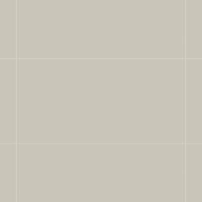 Qualis Ceramica Monoforma 24x48 Storm Silk - Grid